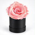 Single Pink Preserved Rose