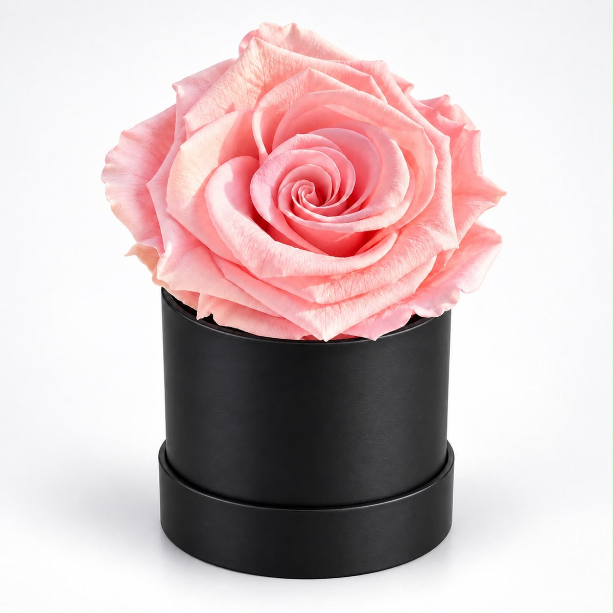 Single Pink Preserved Rose