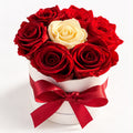 7 Red & Ivory Preserved Roses