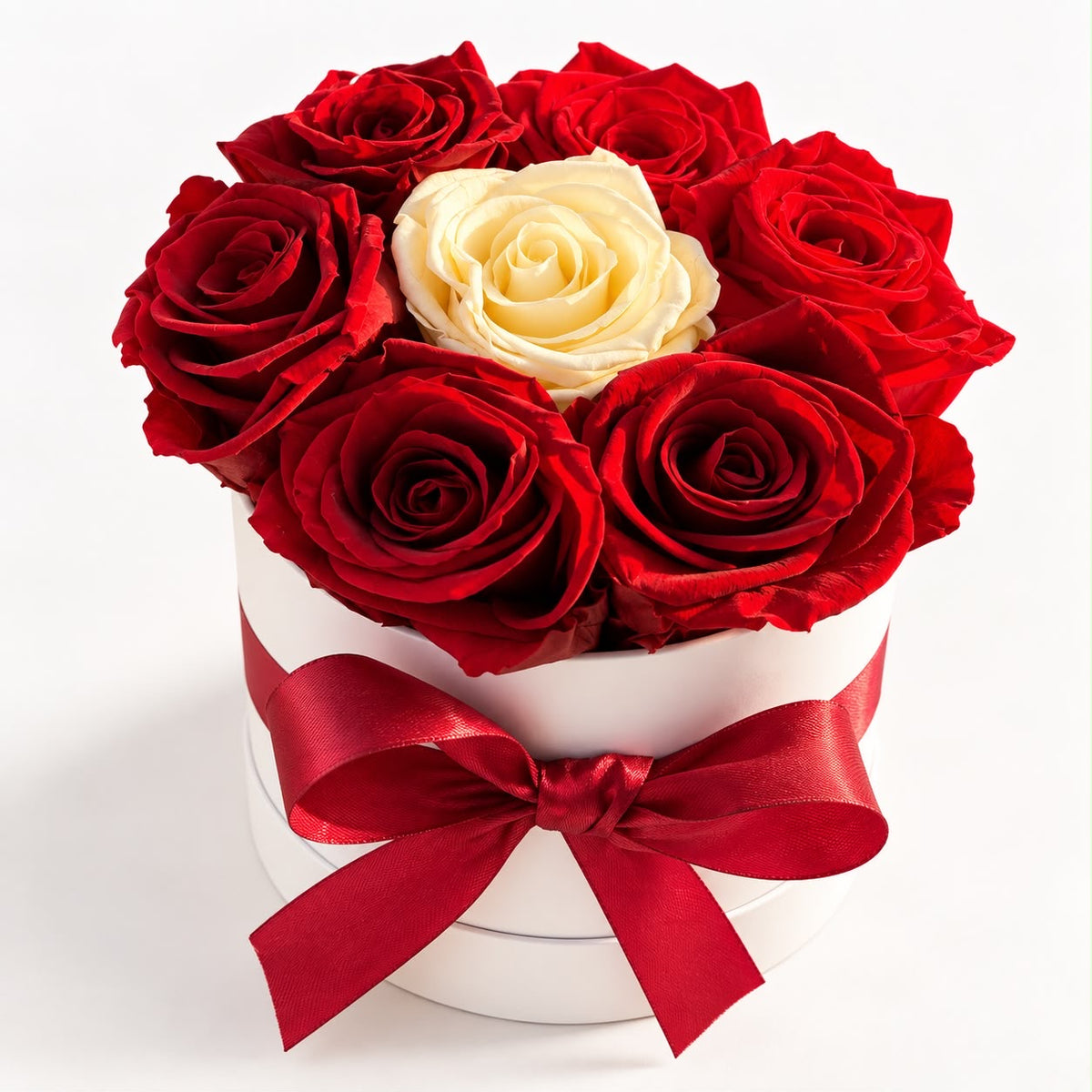 7 Red & Ivory Preserved Roses