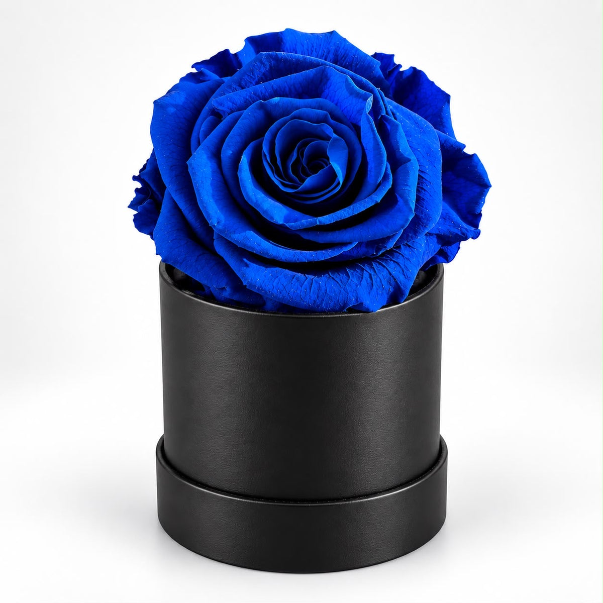 Single Blue Preserved Rose Box