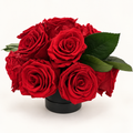 18 Red Preserved Roses