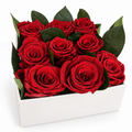 9 Red Preserved Roses