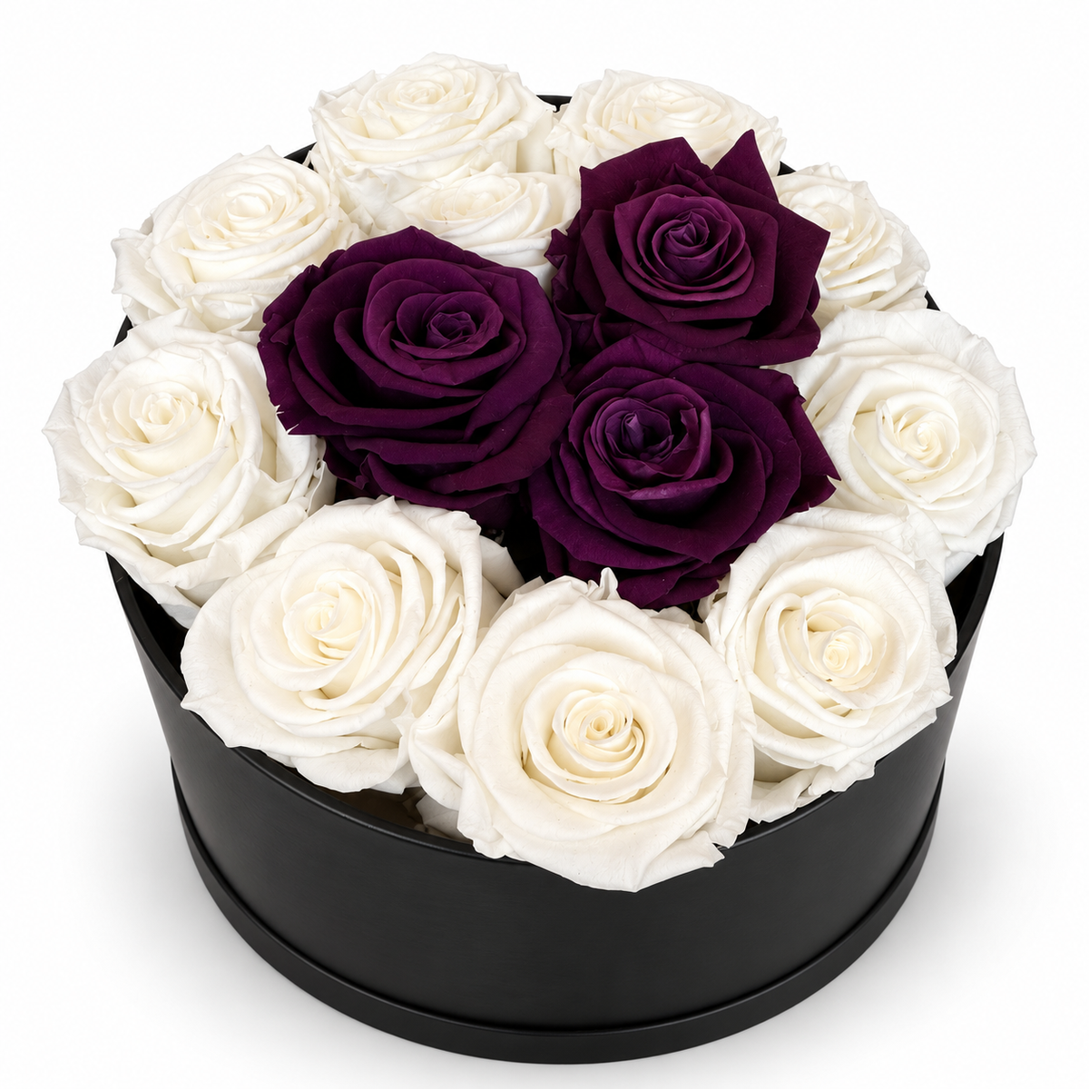13 White & Deep Purple Preserved Roses
