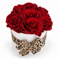 7 Red Preserved Roses with Leopard Bow