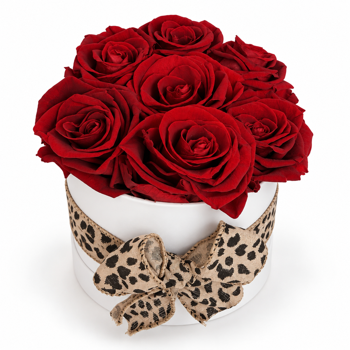 7 Red Preserved Roses with Leopard Bow