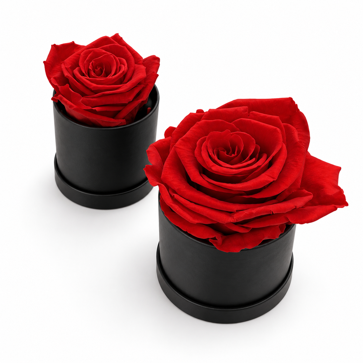 Single Blue Preserved Rose Box